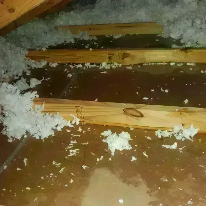 Attic Water Damage in Fort Lupton, CO